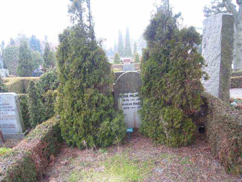 Grave number: NK VIII    91a