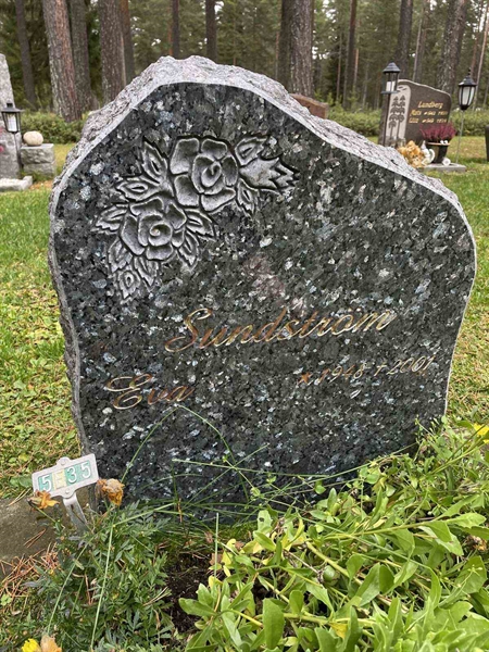 Grave number: 3 5    35