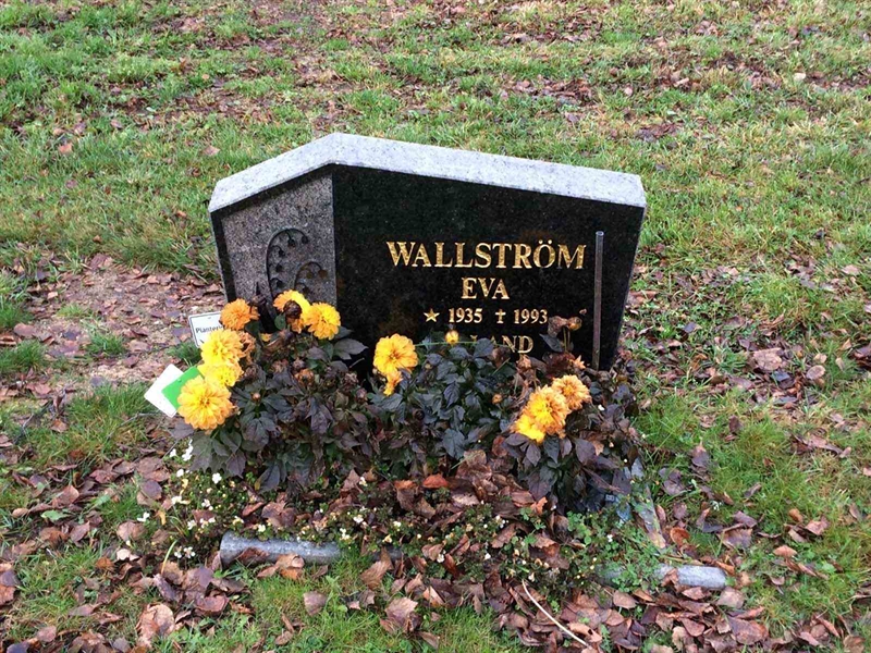 Grave number: 3 1769