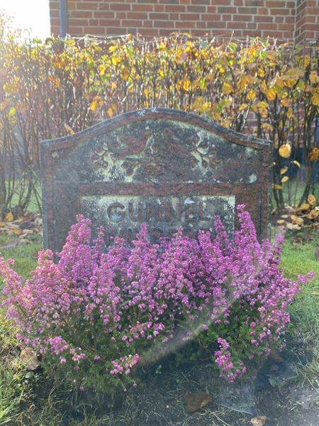 Gravnummer: 1 24     29