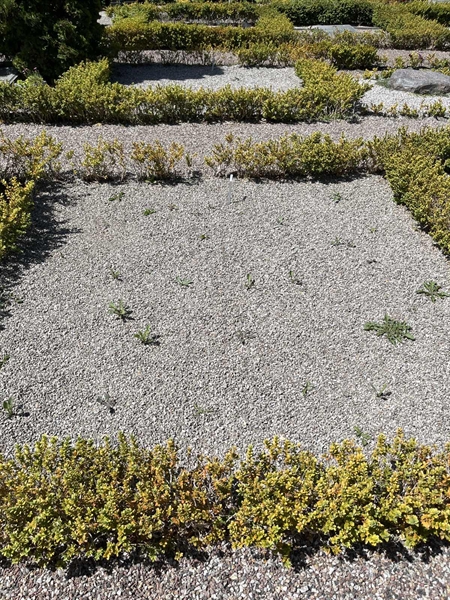 Grave number: NK H 35-36