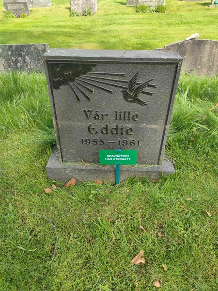 Grave number: TY NKÖ   396