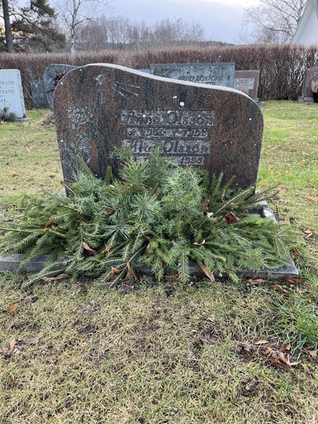 Hautatunnus: Vårv Kv5 29+30