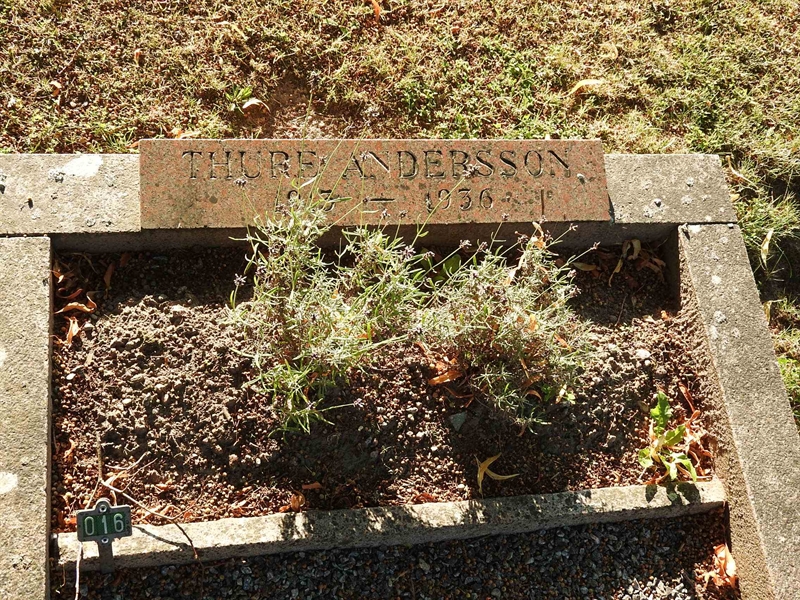 Gravnummer: BRO 4    16