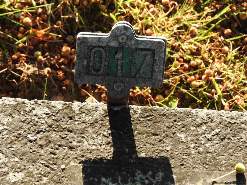 Gravnummer: BRO 4    17