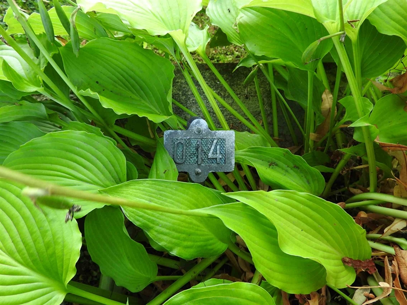 Gravnummer: BRO 3    14