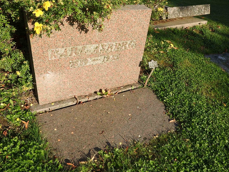 Gravnummer: BRO 5    20