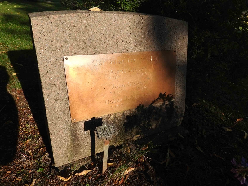 Hautatunnus: BRO 5    29