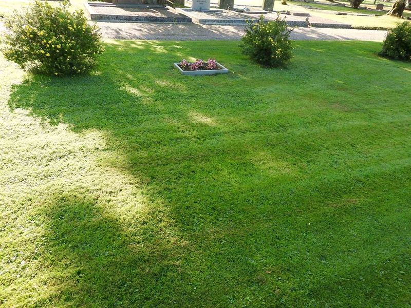 Gravnummer: BRO 5    43