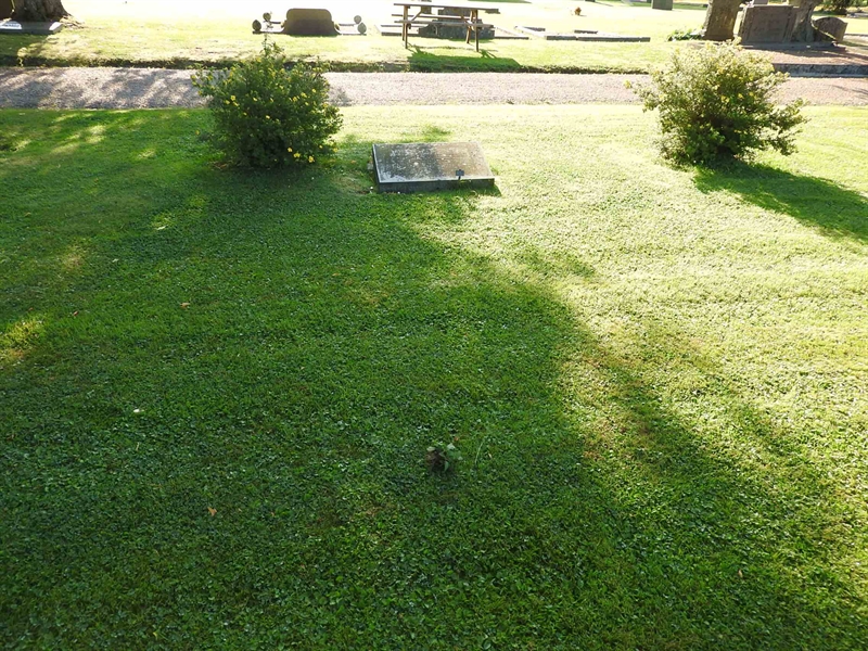 Hautatunnus: BRO 5    37