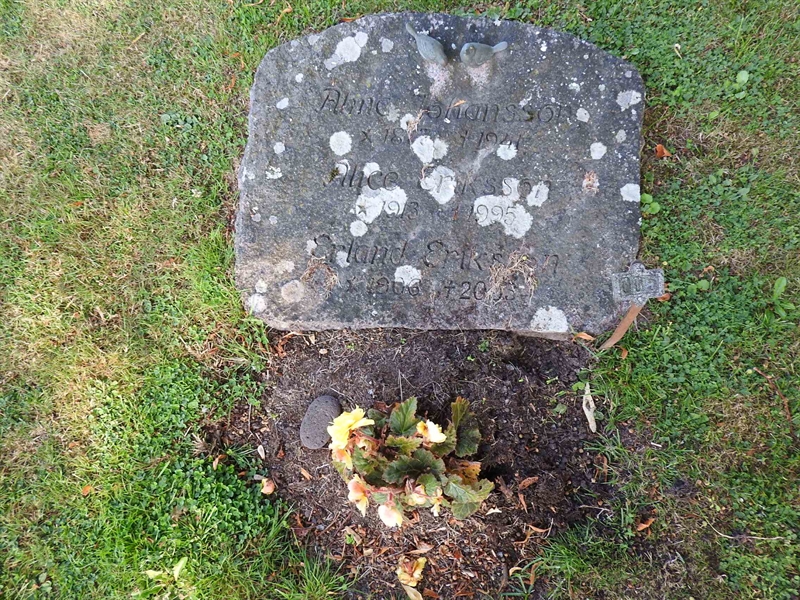 Hautatunnus: BRO 5     5