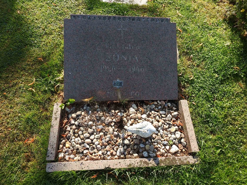 Hautatunnus: BRO 5    49