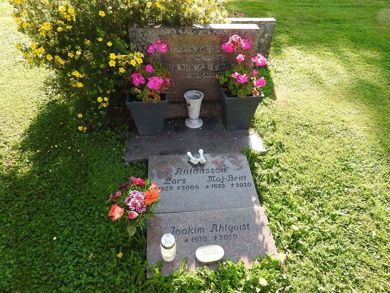 Gravnummer: BRO 5    98