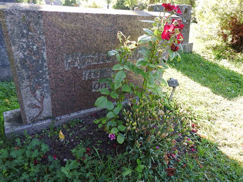 Hautatunnus: BRO 5    94