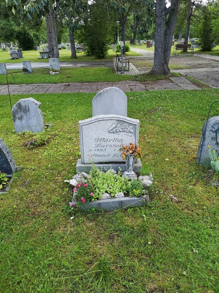 Hautatunnus: NK 13    23