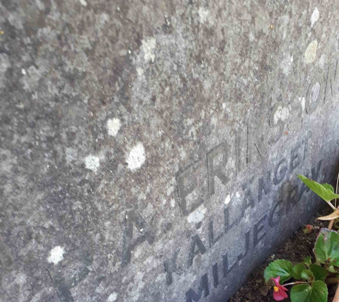 Gravnummer: GK F 4   358