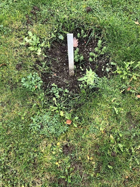 Gravnummer: BK L    76