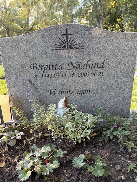 Gravnummer: 1 NA    62