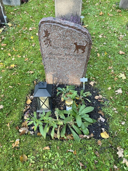 Grave number: 1 H   451