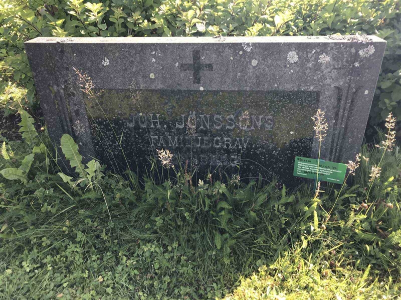 Grave number: DU GS    37