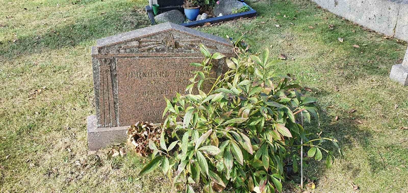 Grave number: SG 02   365, 366