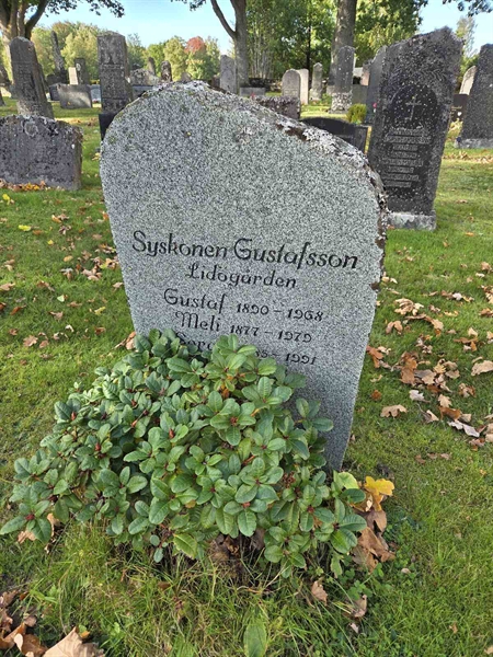 Grave number: T A A   308-309