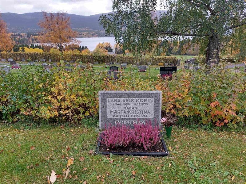 Hautatunnus: NY H 16