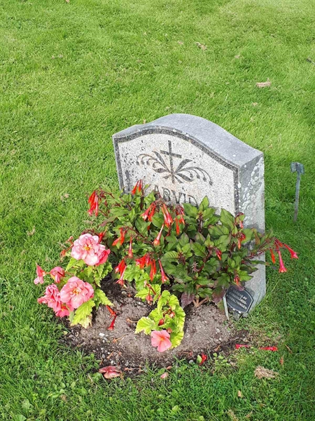 Hautatunnus: NK F B   819