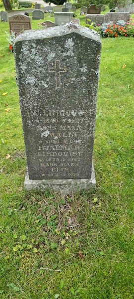 Grave number: M V  315, 316