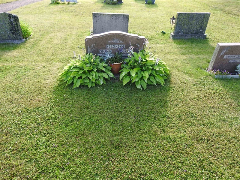 Gravnummer: BK V    33-34