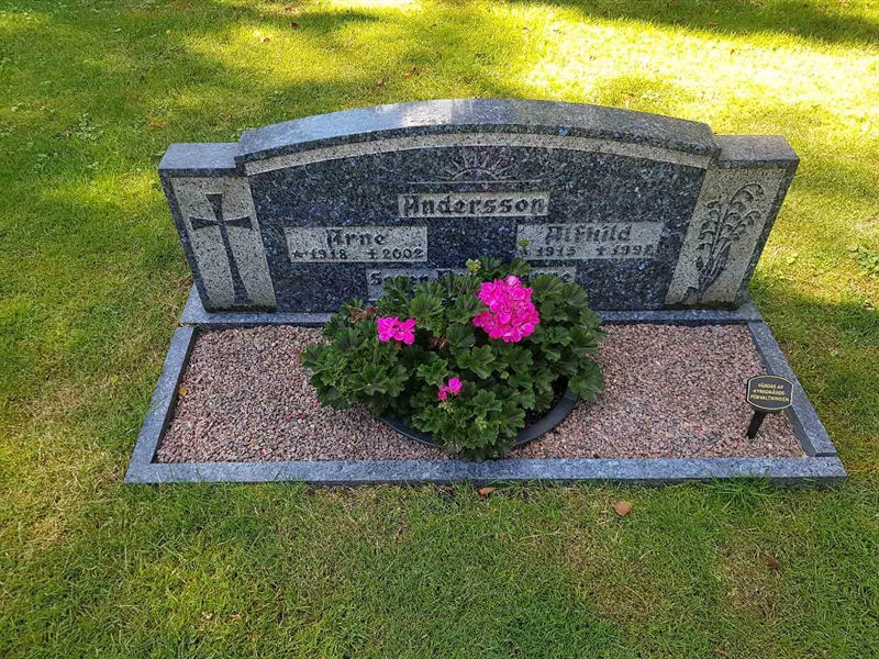 Grave number: 01  2196