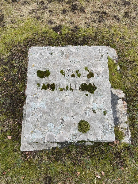 Hautatunnus: HA G    56, 57, 58, 59, 60, 61