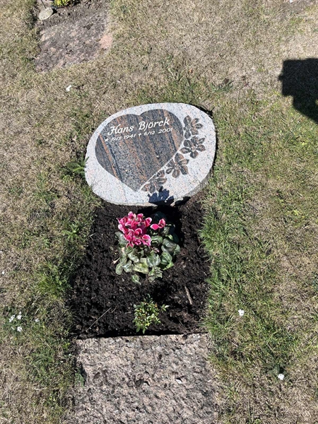 Grave number: NK I:u   364