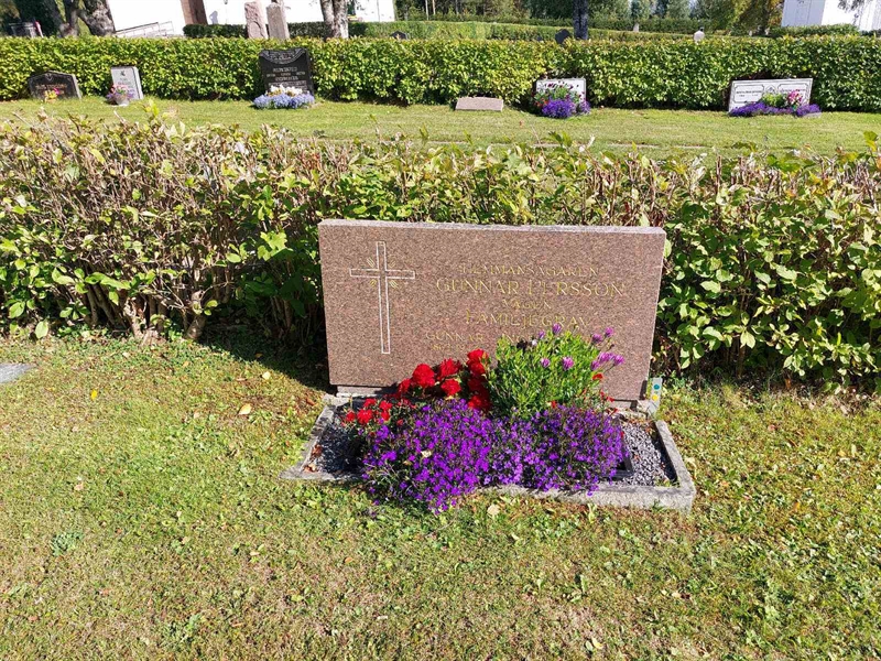 Grave number: K D    37