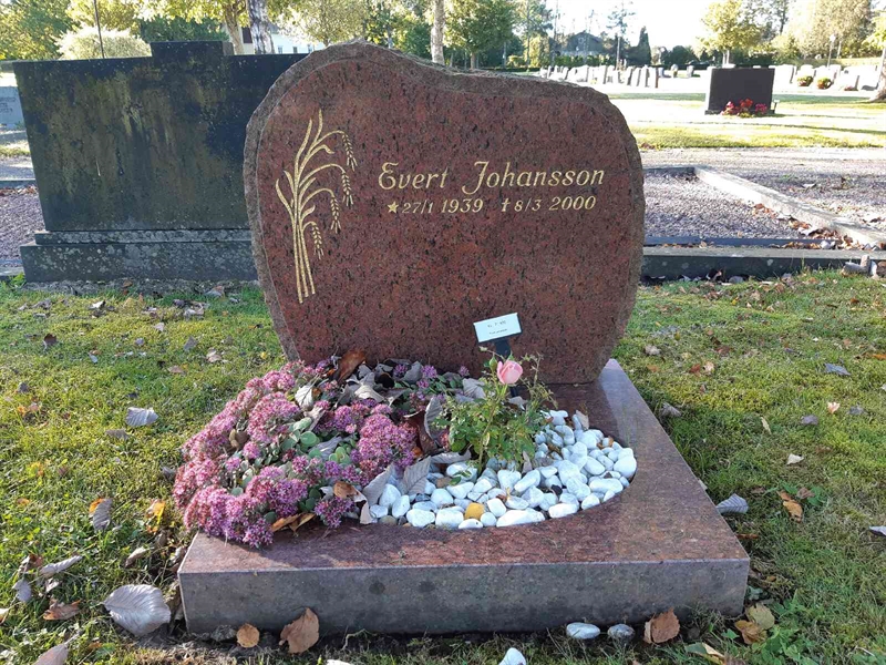 Gravnummer: Fr 7   970