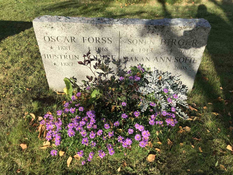 Grave number: ÅR B   230, 231