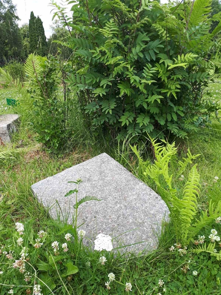 Hautatunnus: GK A 5   245M