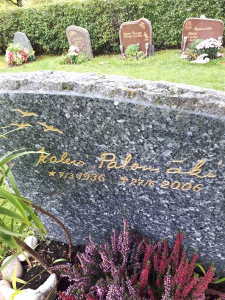 Hautatunnus: NK F D   290A