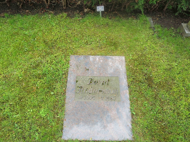 Grave number: HÖB 71   251