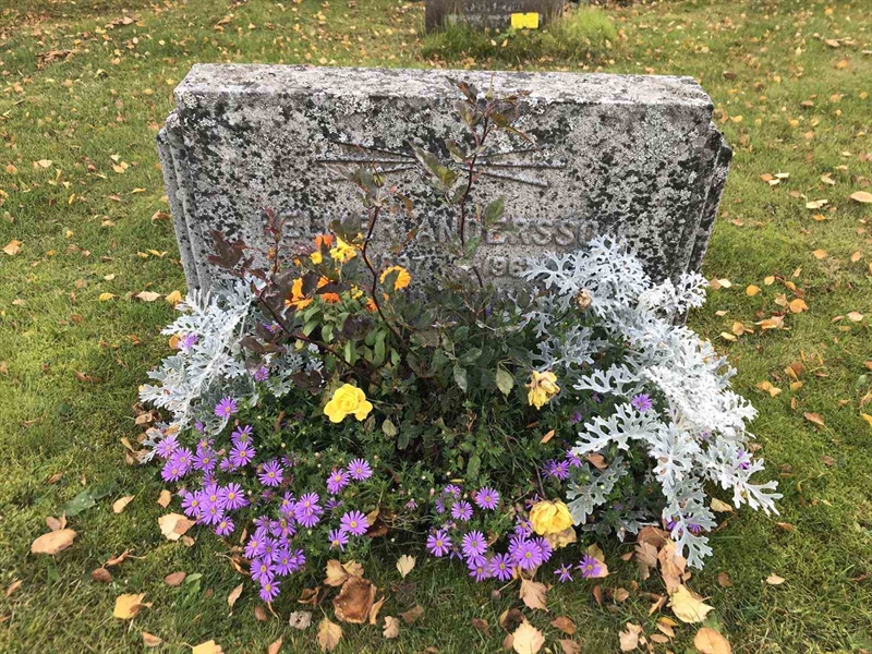 Grave number: ÅR A   450