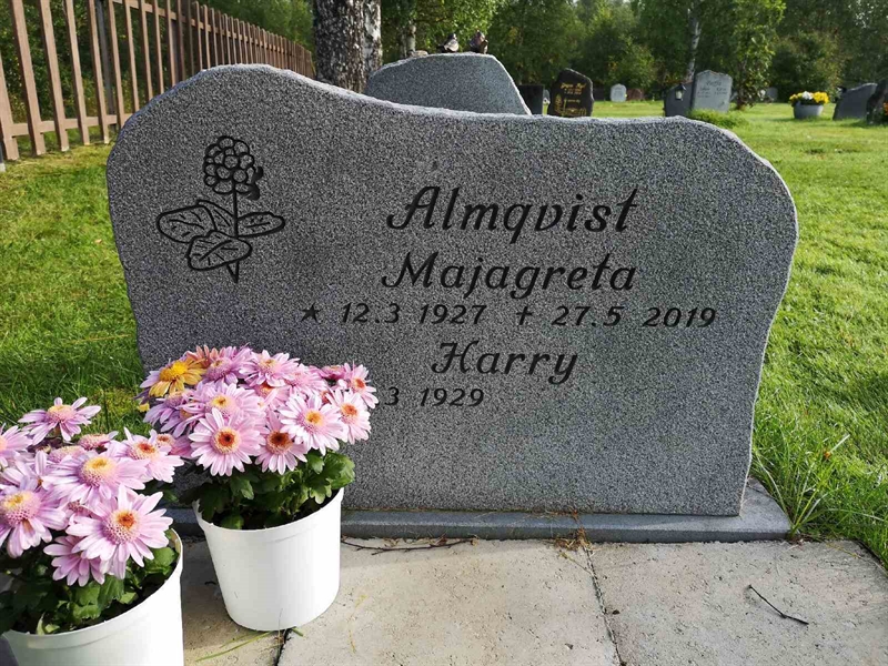 Hautatunnus: NK 20    77-78