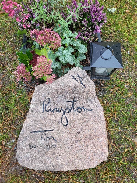 Gravnummer: H HA   274