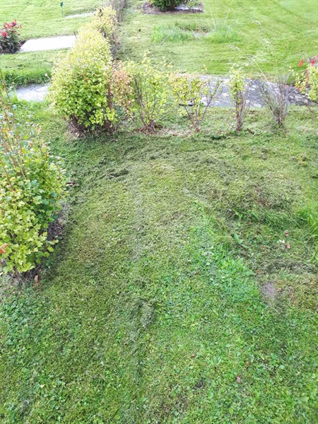 Grave number: NK F G    75