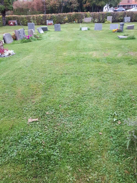 Hautatunnus: NK F B   979