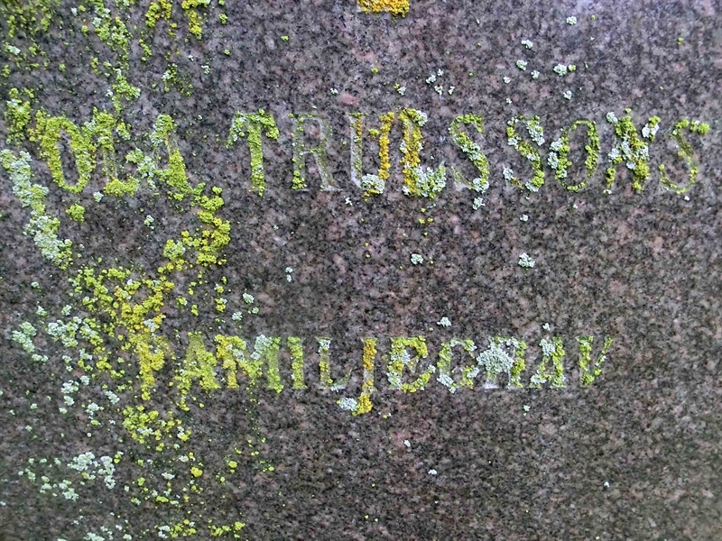 Grave number: LI GAML    265