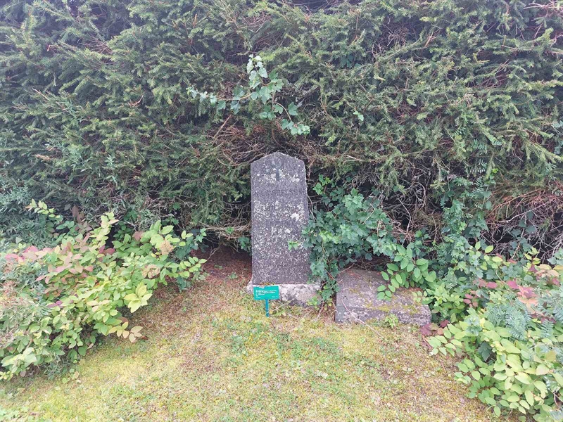 Grave number: K C    31
