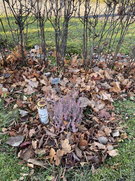 Gravnummer: GK U 2     6