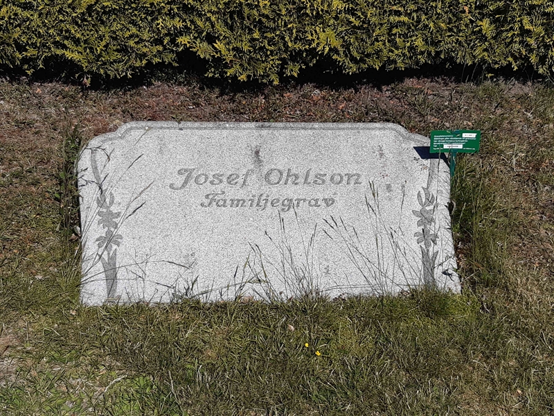 Grave number: JÄ 06   242