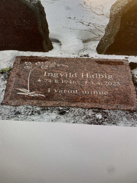 Gravnummer: 2 C   204-205