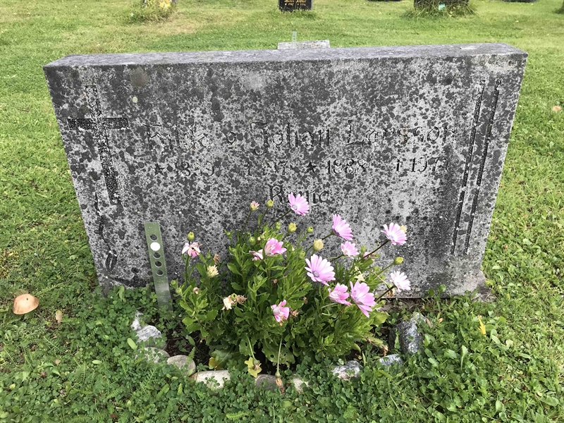 Grave number: UÖ KY   218, 219